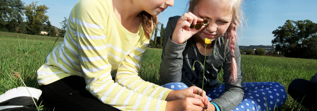 Steinmuehle_Projektunterricht Projektunterricht Steinmühle