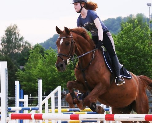 Springreiten Steinmühle