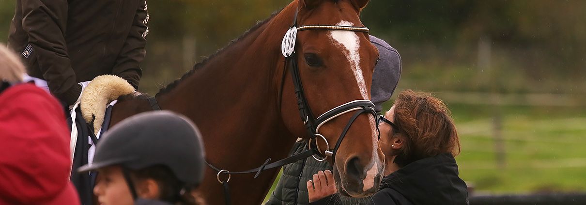 steinmuehle-header-reitsport Reiten AG Steinmühle Marburg