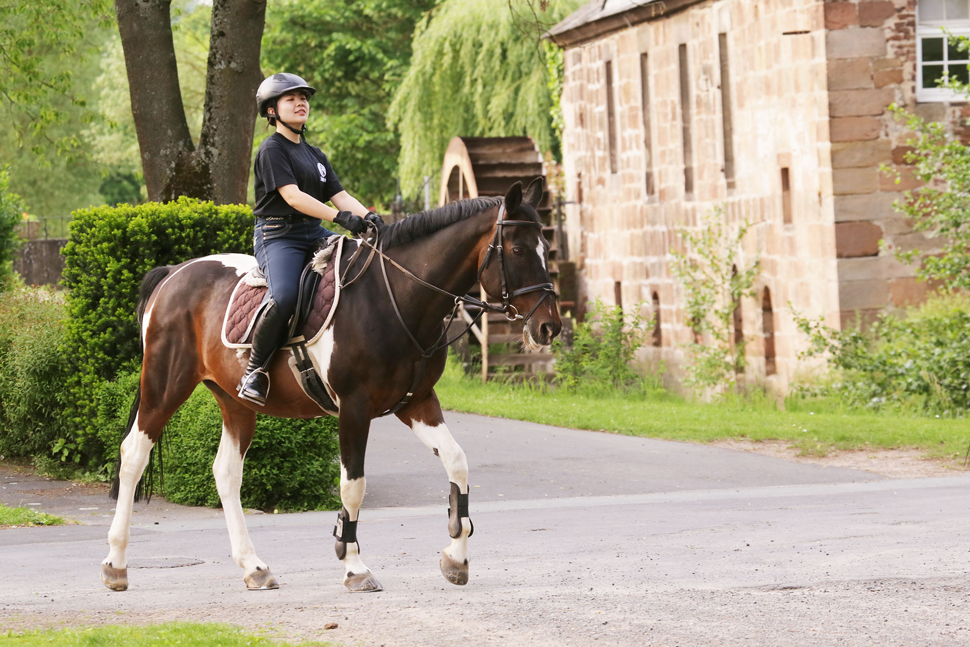 Steinmuehle_Reiten Reiten an dem Internat Steinmühle in Marburg