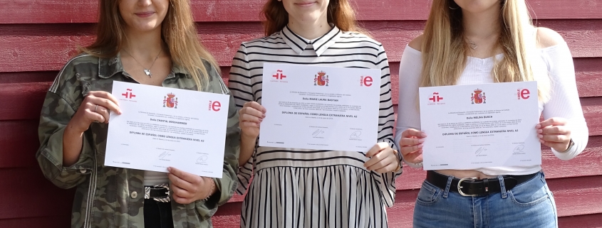 Spanisch Diplom An Der Steinmuhle Eingefuhrt Steinmuhle Schule Internat