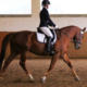 Steinmühle Equestrian Club