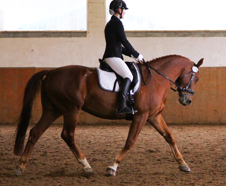 Steinmuehle_Scuola di equitazione Reiten AG Steinmühle