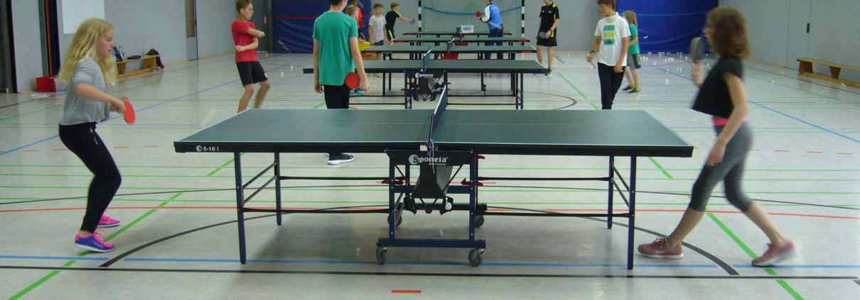 schülerinnen und schüler aus dem internat landschulheim steinmühle spielen tischtennis in der sporthalle in marburg, hessen