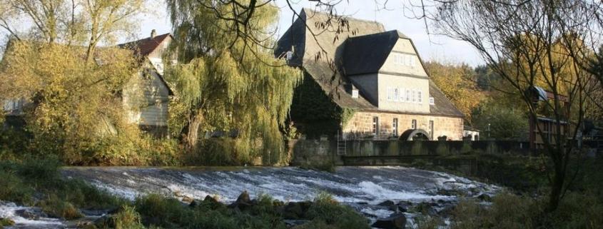 Idyllic natural surroundings at the Steinmühle boarding school and nature camp in Marburg, Hesse, for students with behavioral challenges and gifted students