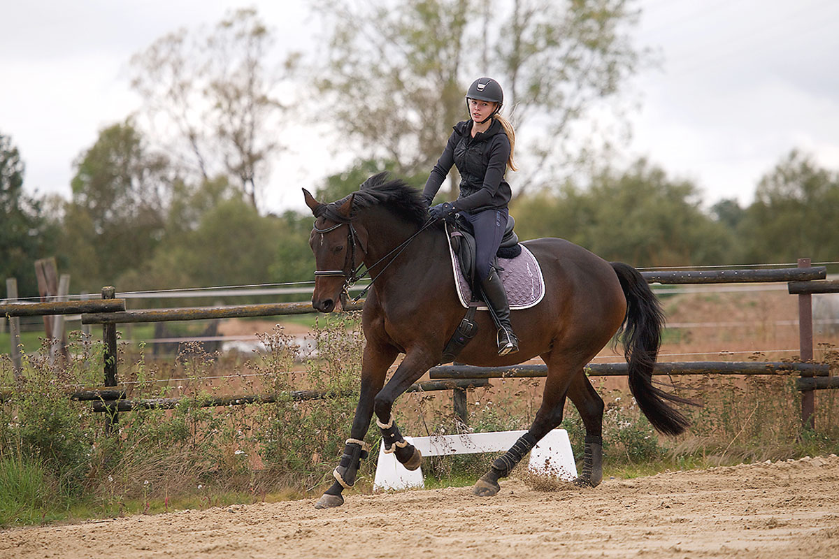 Schule_Internat_Steinmuehle_Reiten_2